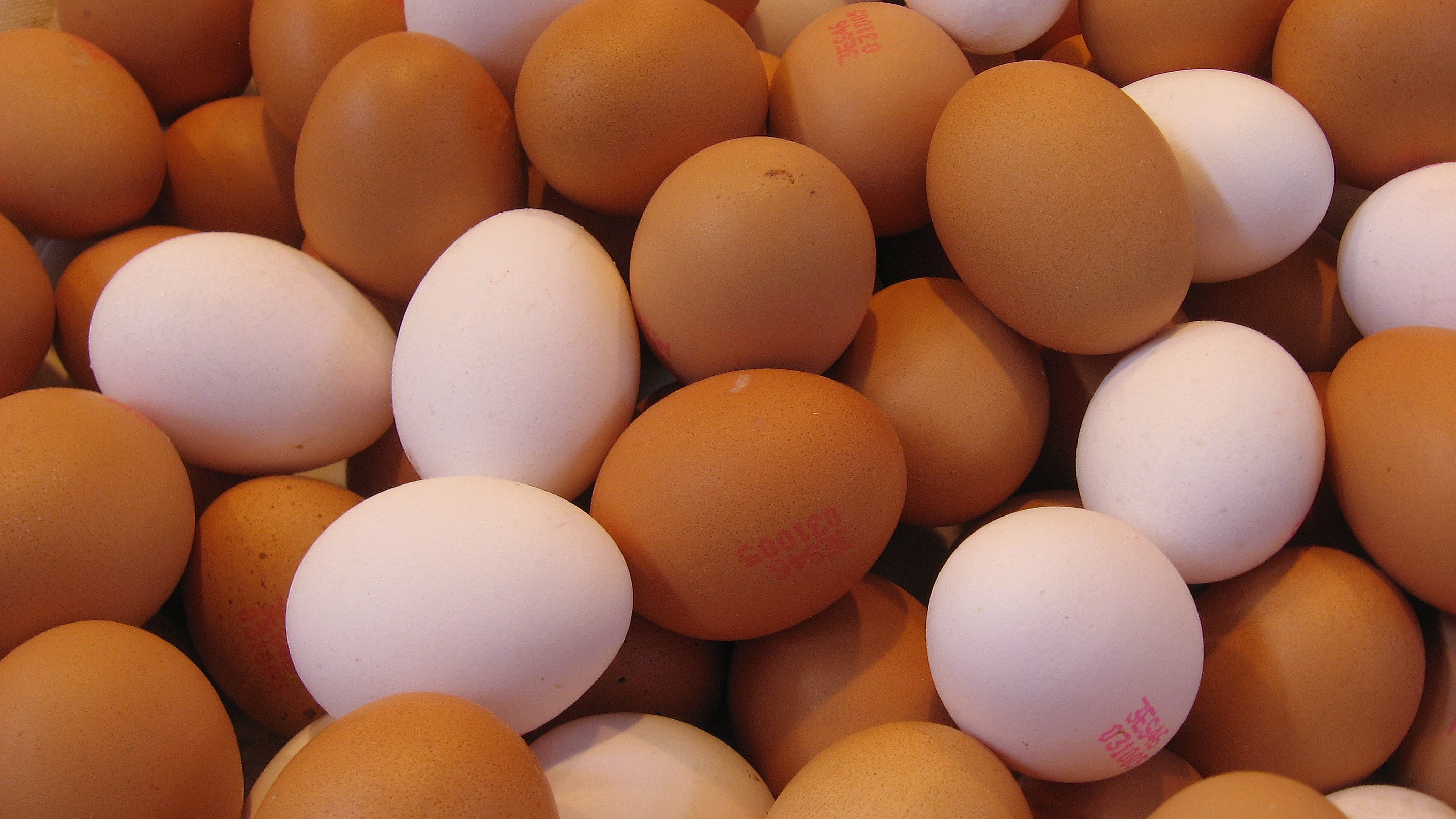 Eggets rolle som ‍bindemiddel og teksturforbedrer i kjøttkaker